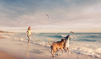 La felicidad tiene mil caras y mil razones_José Manuel García-Otero